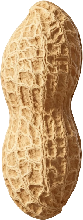 Peanuts in shell