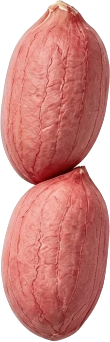 Red skin peanuts