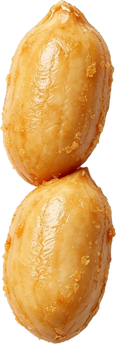 Roasted peanuts
